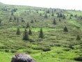 /album/fotogaleria-offroad-chiprovtsi/klub-gaz69-044-jpg/
